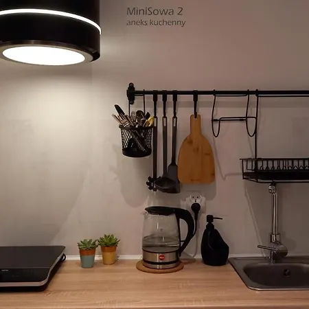 Minisowa Jedlina-Zdroj