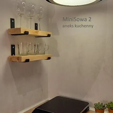 Minisowa Apartment *