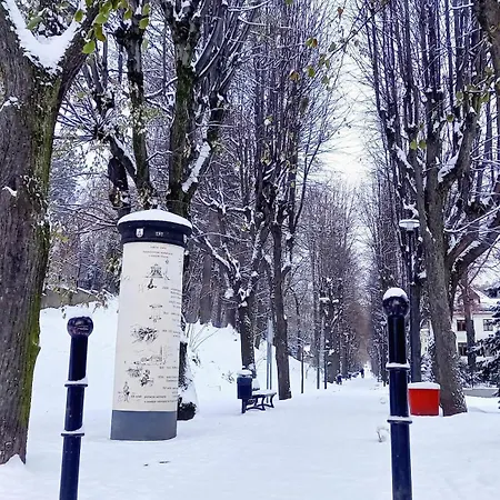 Minisowa Apartment *