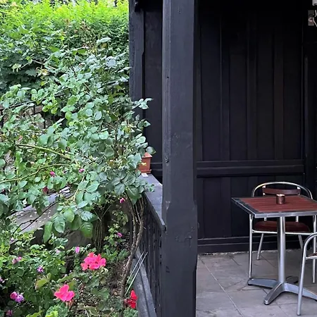 Minisowa * Jedlina-Zdroj