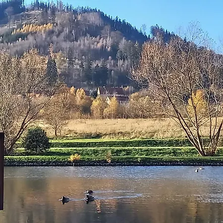 Minisowa Apartament Jedlina-Zdroj