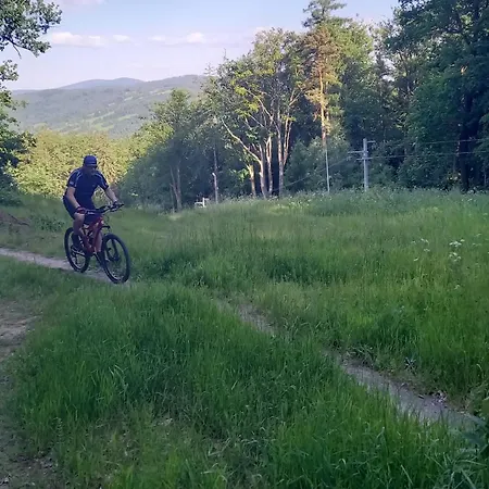 Minisowa * Jedlina-Zdroj