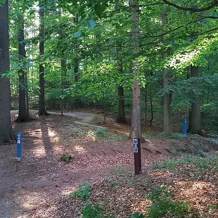 Apartament Minisowa *