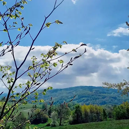 Apartament Minisowa Jedlina-Zdroj