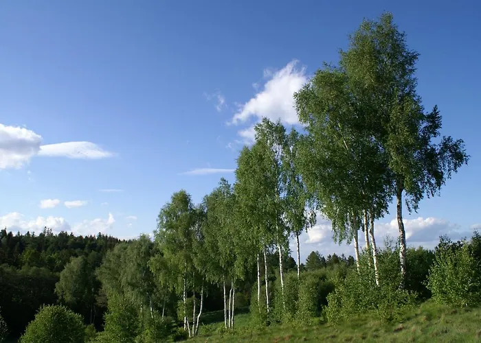 Minisowa Apartament *