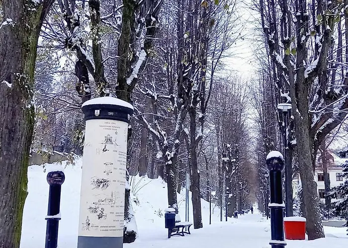 Minisowa Apartament *