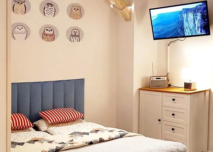 Apartament Minisowa *