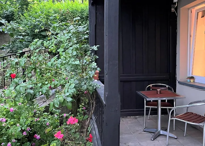 Minisowa * Jedlina-Zdroj