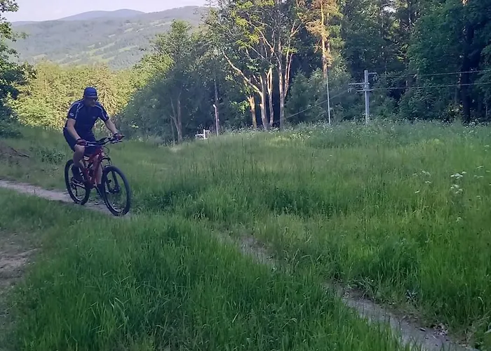 Minisowa * Jedlina-Zdroj