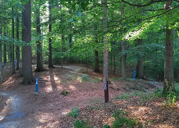 Apartament Minisowa *