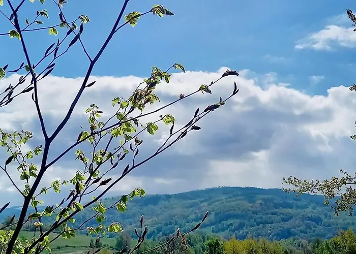 Apartament Minisowa Jedlina-Zdroj